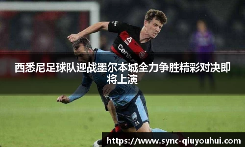 QY球友会体育平台